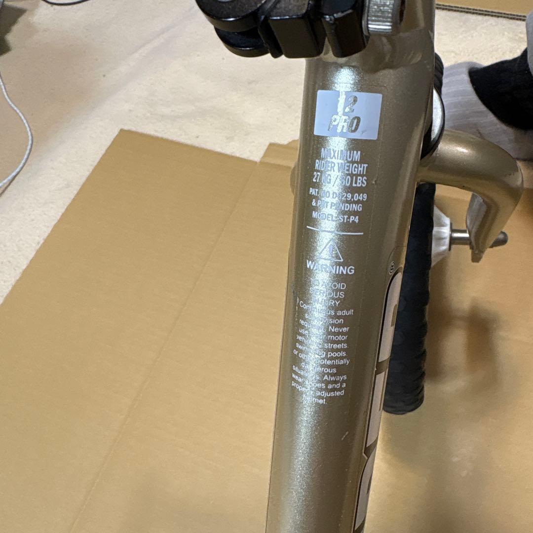 超軽量 ストライダー プロ シャンパンゴールド　10th限定モデル