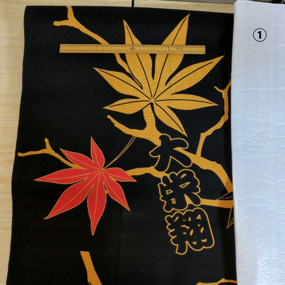 メル55507です。大栄翔