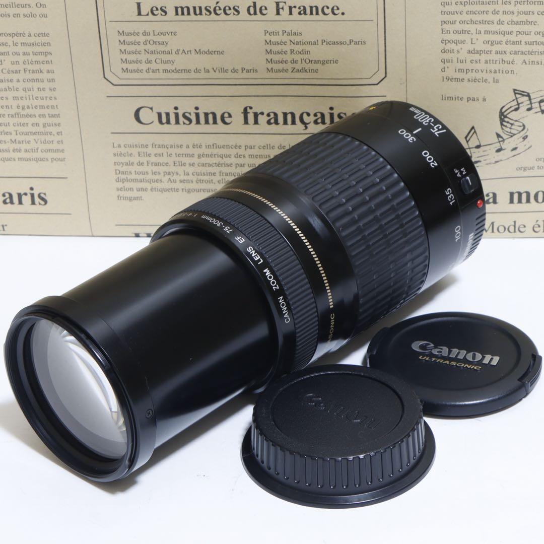 ◇超望遠&高速AF◇ Canon純正 75-300mm I型 望遠レンズ ◇