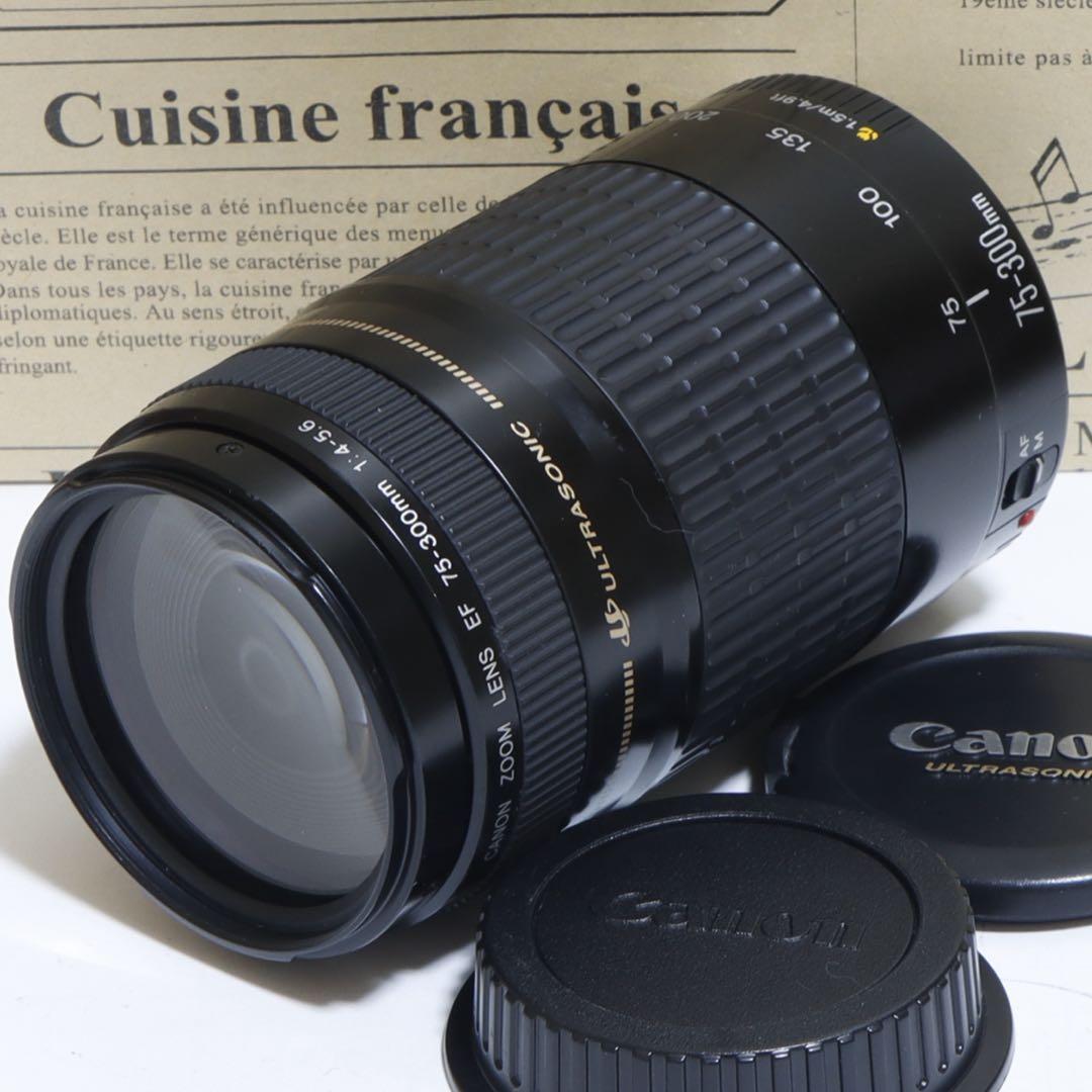 ◇超望遠&高速AF◇ Canon純正 75-300mm I型 望遠レンズ ◇