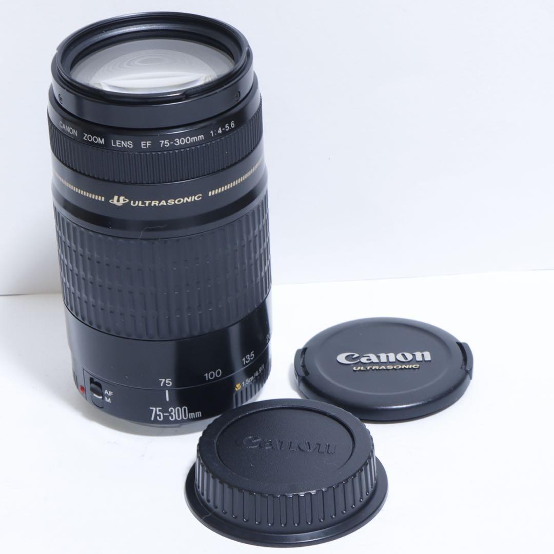 ◇超望遠&高速AF◇ Canon純正 75-300mm I型 望遠レンズ ◇