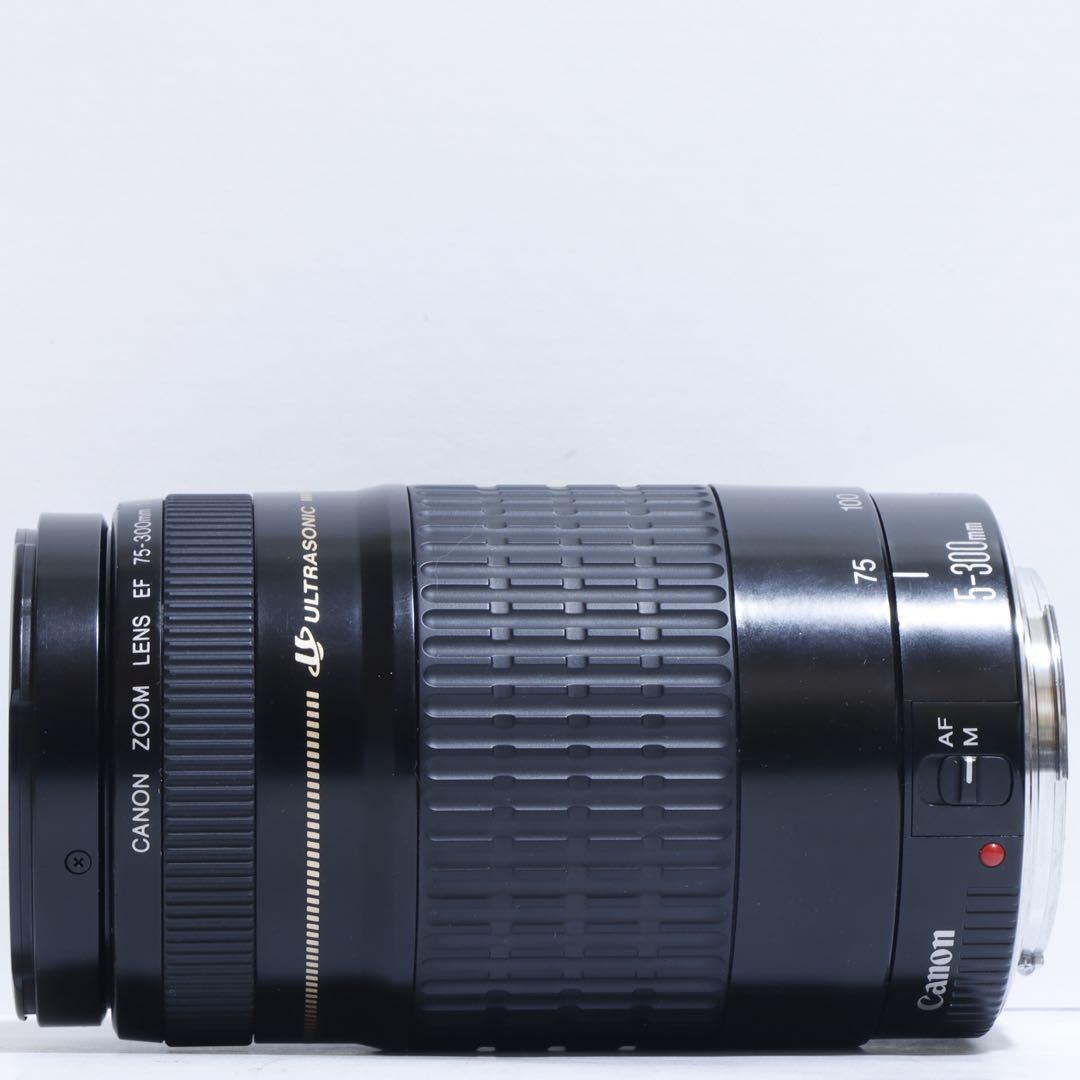 ◇超望遠&高速AF◇ Canon純正 75-300mm I型 望遠レンズ ◇