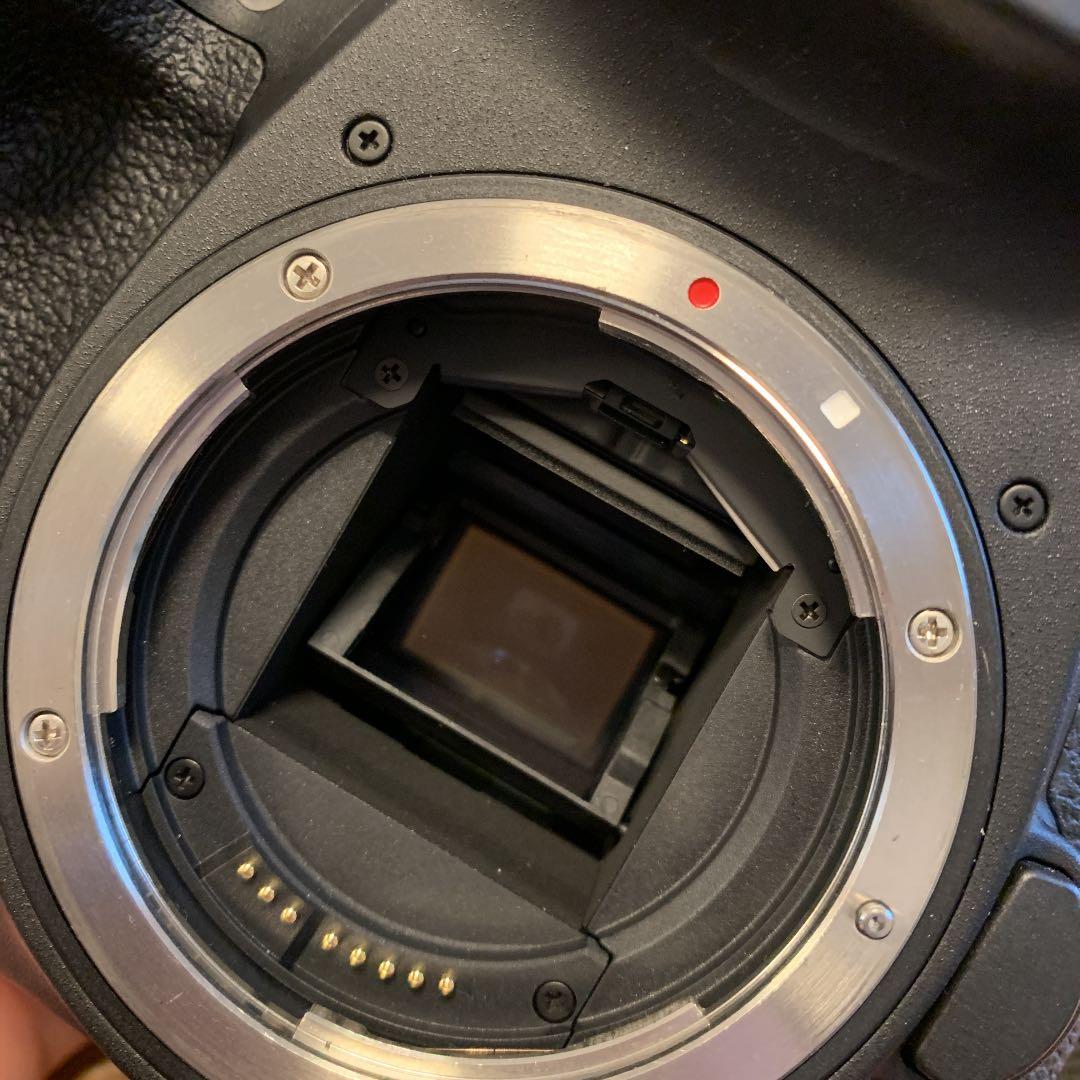 Canon EOS 7D MARK2 ボディ＋レンズ＋純正バッテリーグリップ