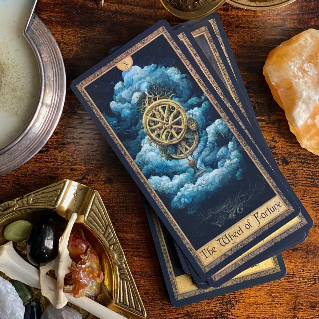 cherie chien★タロット