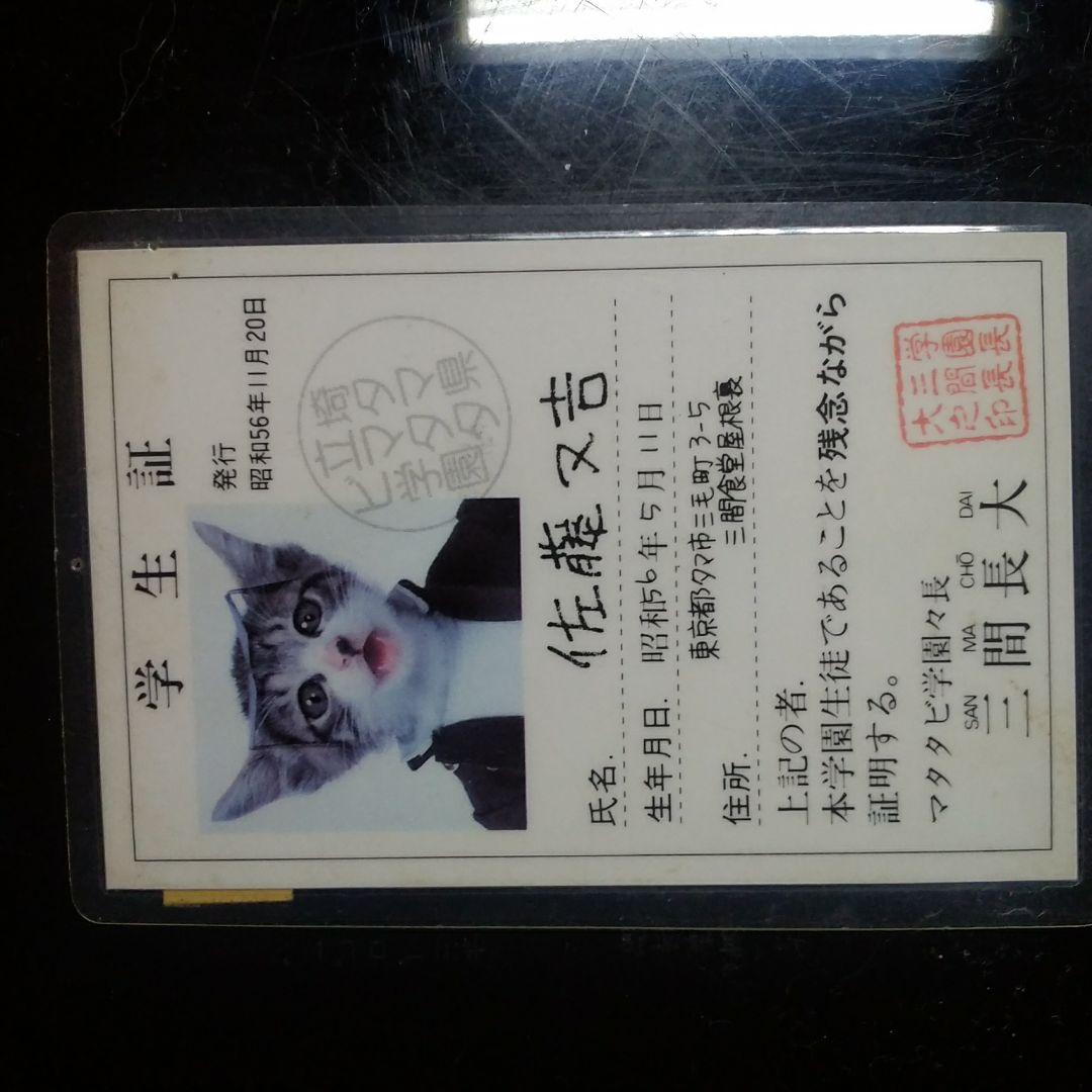 なめ猫カード 価格交渉受付中