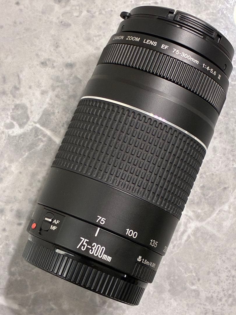 ⭐️完動品⭐️Canon EF 75-300mm F4-5.6 III 望遠レンズ