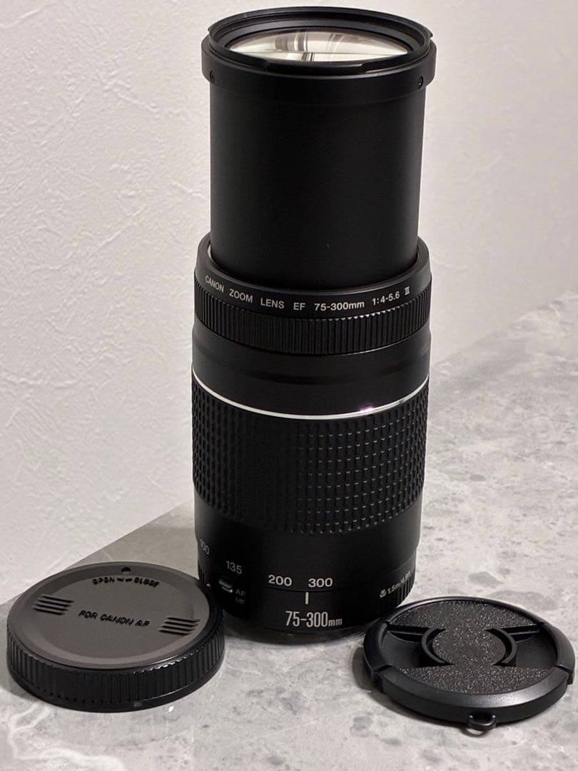 ⭐️完動品⭐️Canon EF 75-300mm F4-5.6 III 望遠レンズ