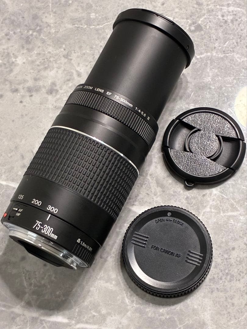 ⭐️完動品⭐️Canon EF 75-300mm F4-5.6 III 望遠レンズ