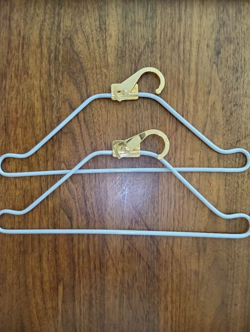 Louis Vuitton モノグラム　ガーメントバッグ