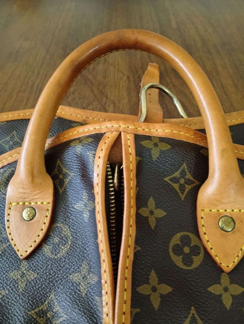 Louis Vuitton モノグラム　ガーメントバッグ