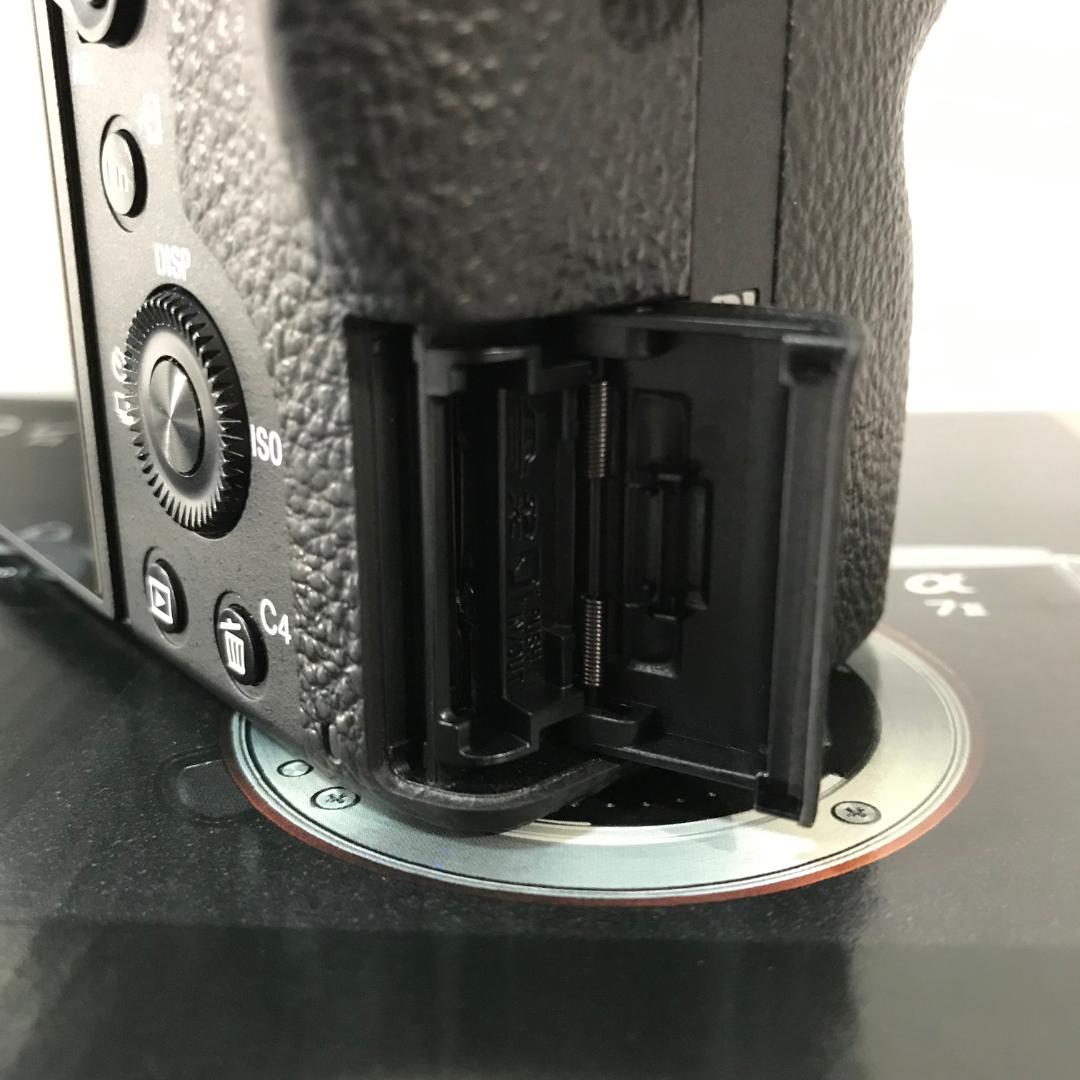 【撮影枚数2,763】SONY α7II ILCE-7M2