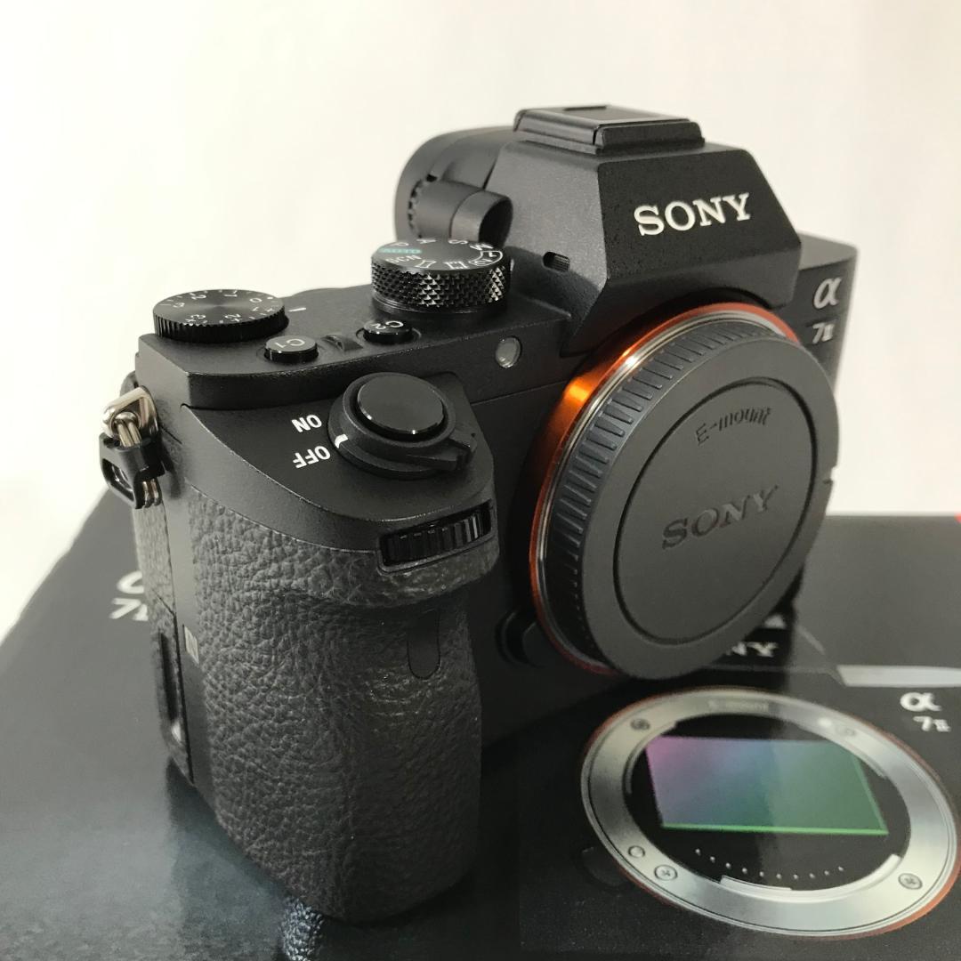 【撮影枚数2,763】SONY α7II ILCE-7M2