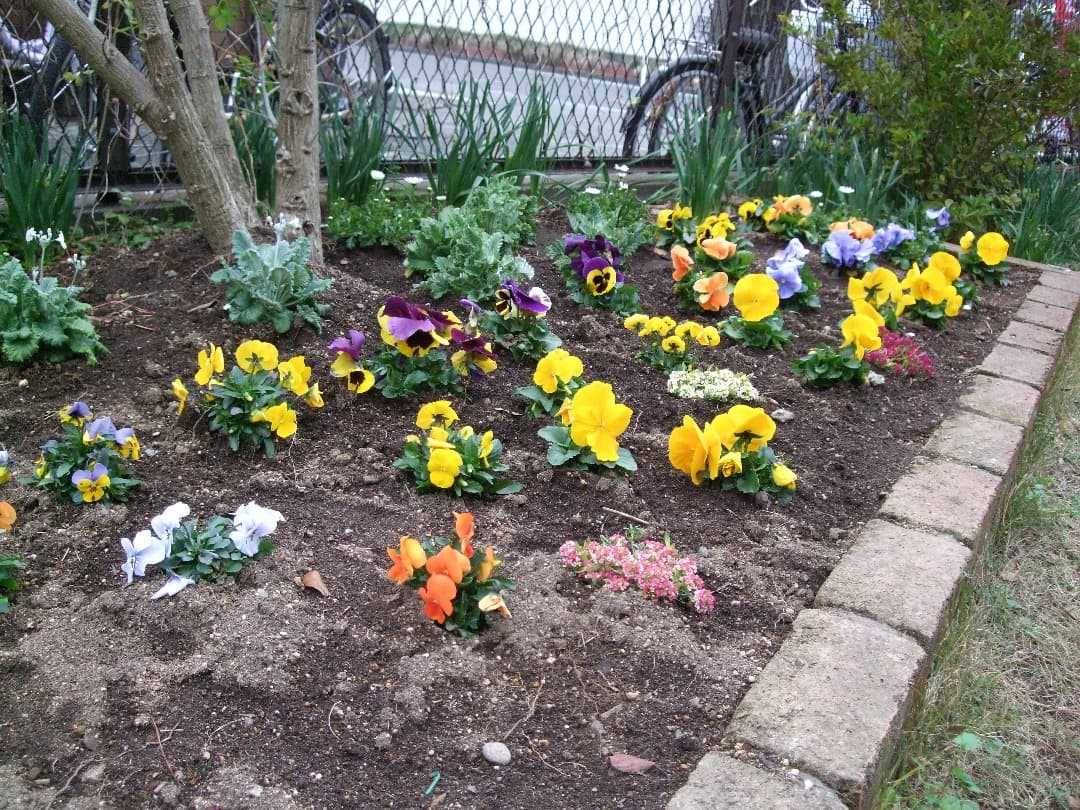 実写美⭕️【動作確認済み】Fujifilm FinePix F50fd デジカメ