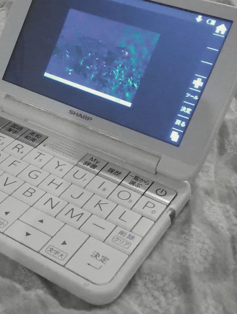 電子辞書 PW-H8100