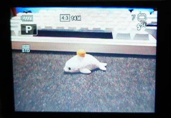 SONY サイバーショット DSC-W350