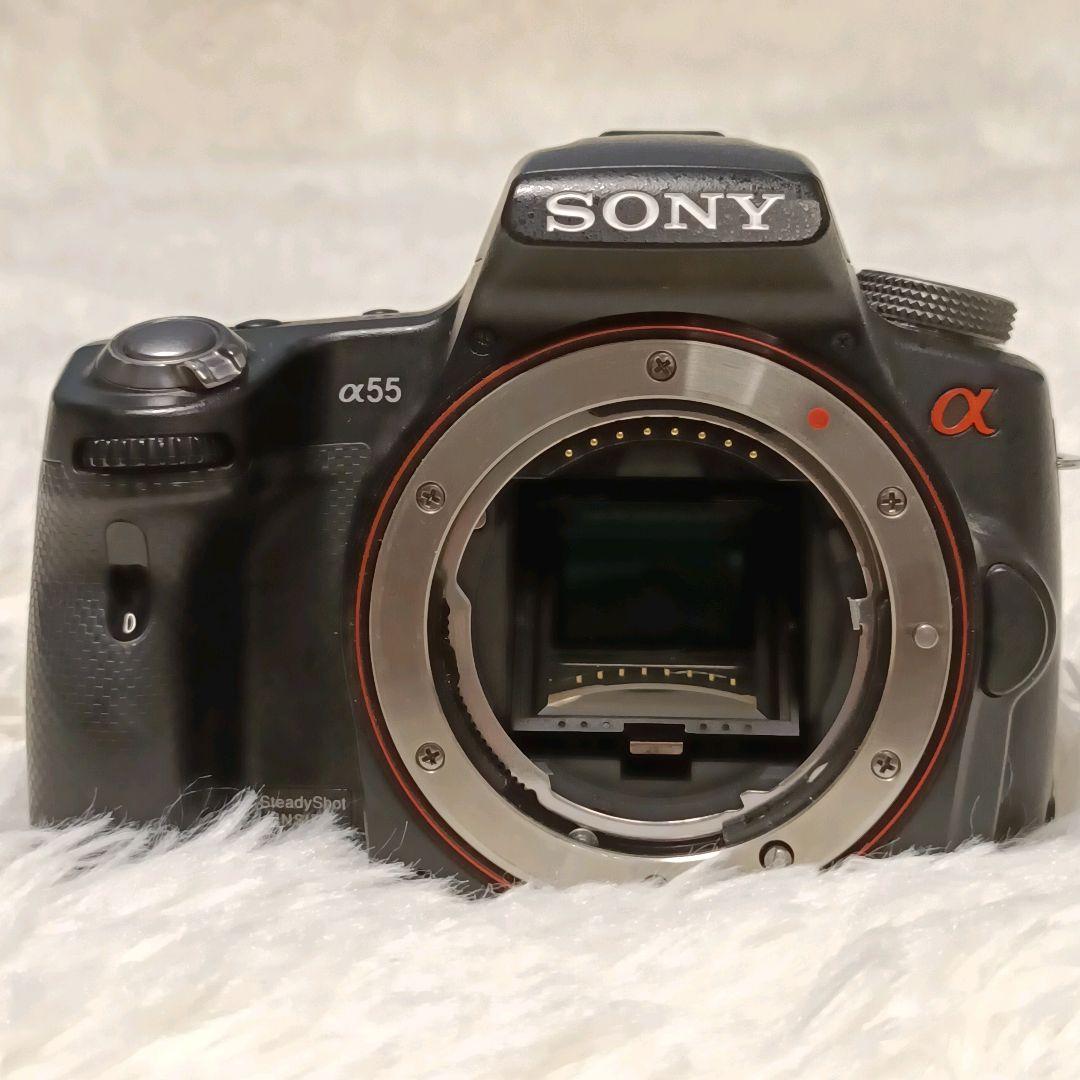 SONY α55 デジタル一眼レフカメラ ダブルズームレンズキット