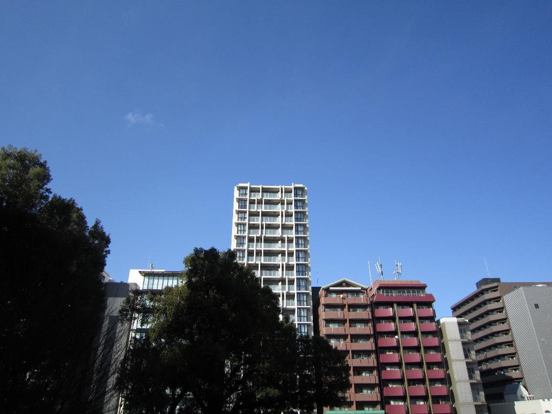 キャノン Canon IXY 10S ピンク コンパクトデジタルカメラ イクシー