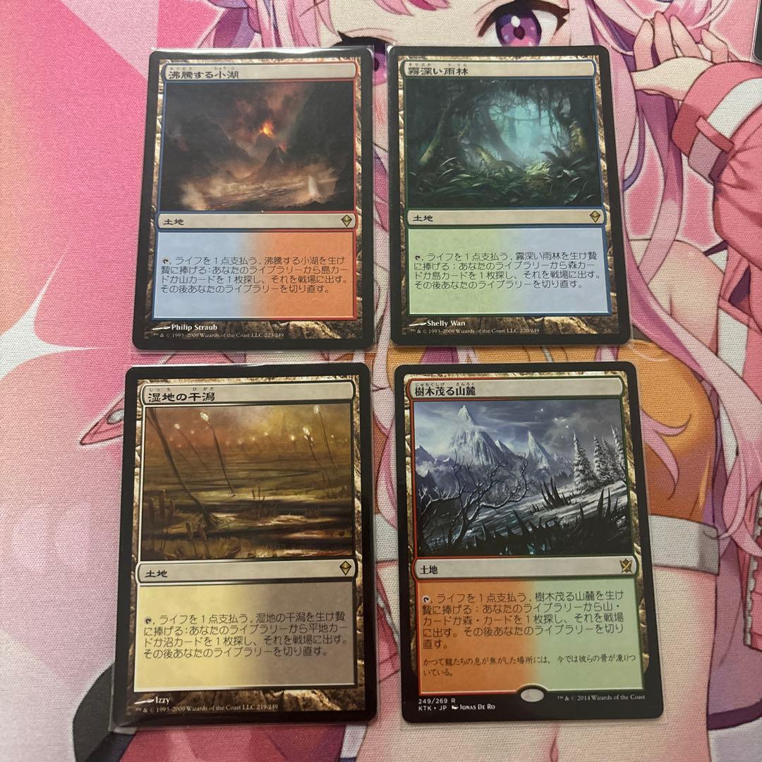 フェッチランド　日本語　4枚セット