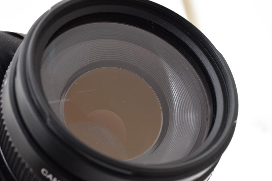 Canon EOS 7D MarkⅡ望遠レンズセットCanon EF75-300