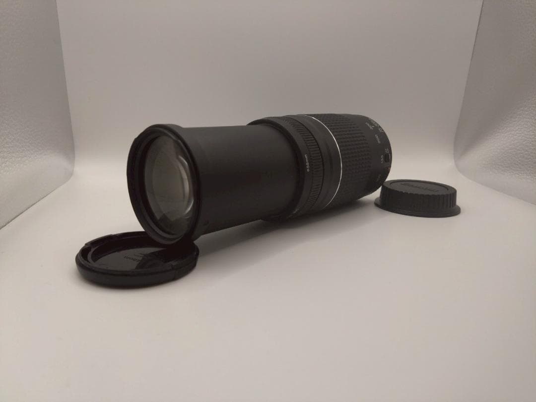 極美品 Canon EF 75-300mm 1:4-5.6 III 望遠レンズ