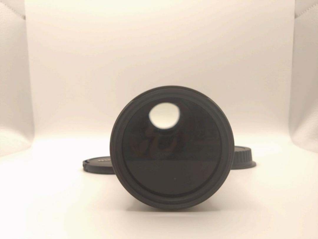 極美品 Canon EF 75-300mm 1:4-5.6 III 望遠レンズ