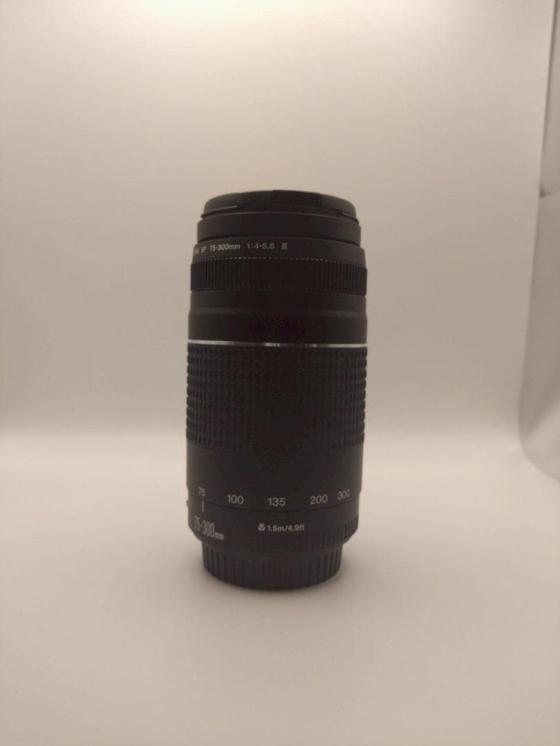 極美品 Canon EF 75-300mm 1:4-5.6 III 望遠レンズ