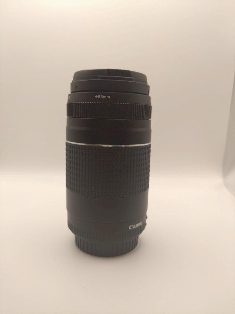 極美品 Canon EF 75-300mm 1:4-5.6 III 望遠レンズ