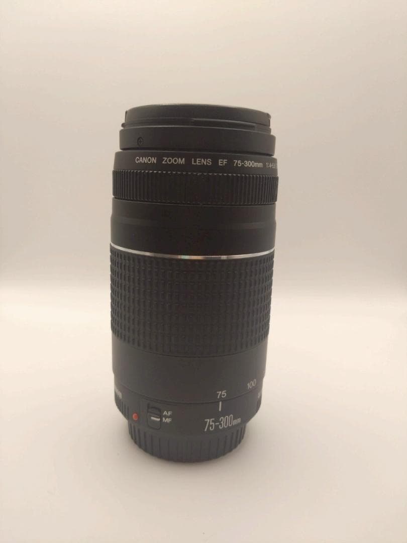 極美品 Canon EF 75-300mm 1:4-5.6 III 望遠レンズ