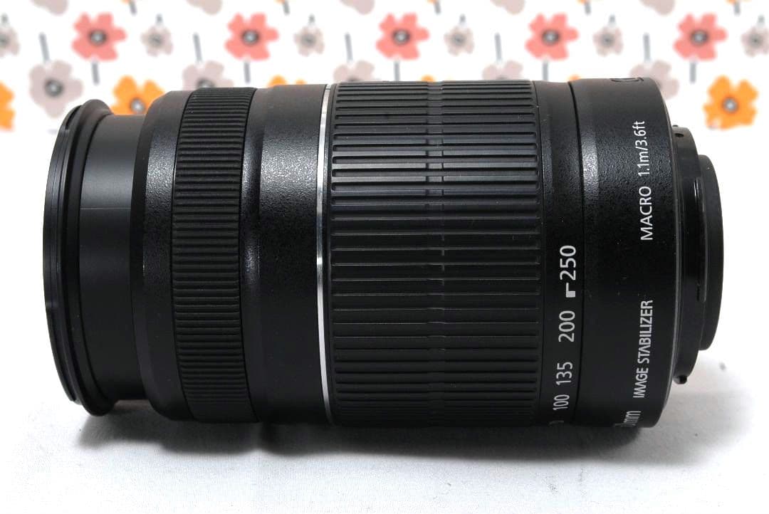【返品保証】❤Canon EF-S 55-250㎜ ISⅡ❤スポーツ撮影に強い❤