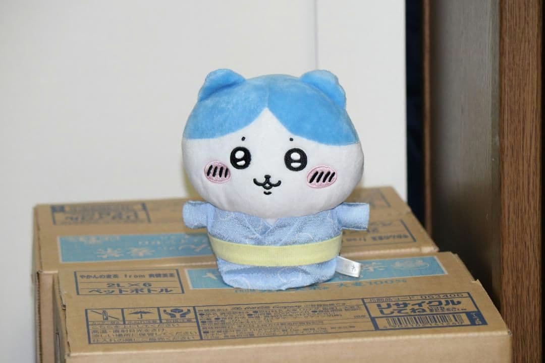 【返品保証】❤Canon EF-S 55-250㎜ ISⅡ❤スポーツ撮影に強い❤