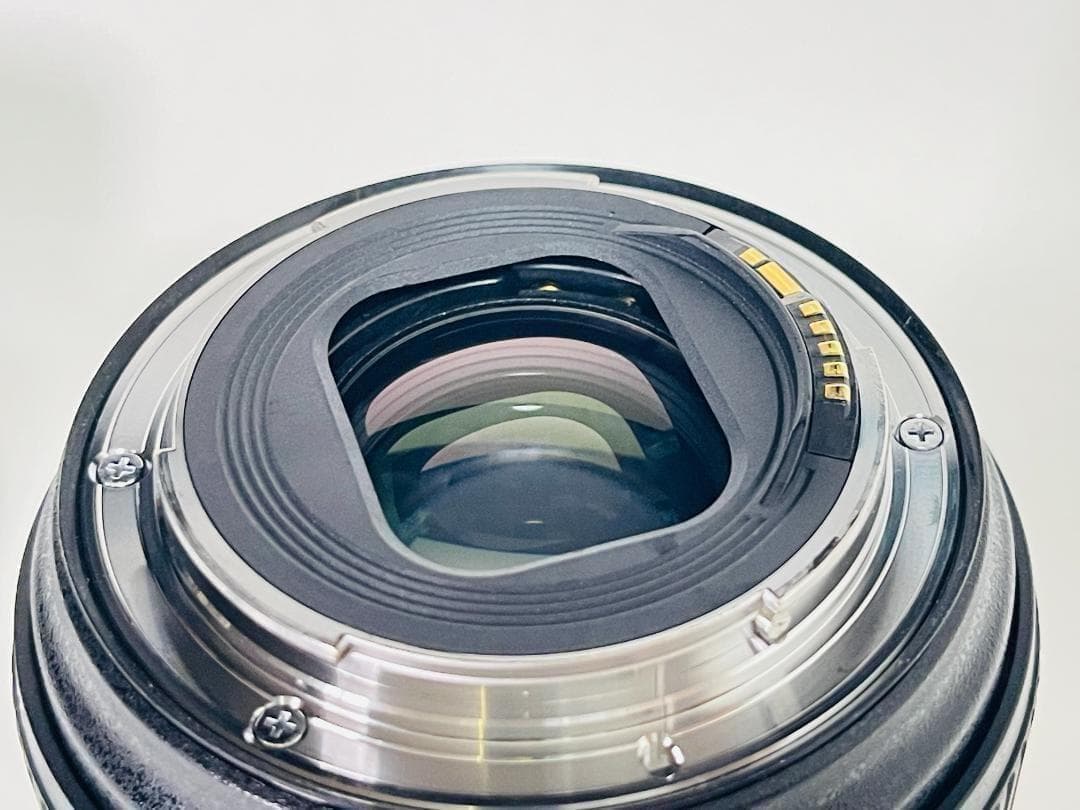 美品 Canon EF24-105mm F4L IS II レンズフィルター付き