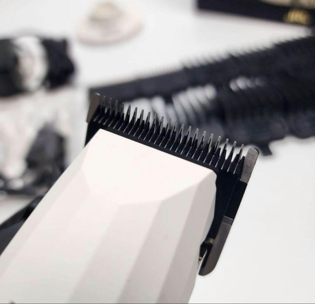 JRL ONYXバリカンFF2020C-B クリスマス版