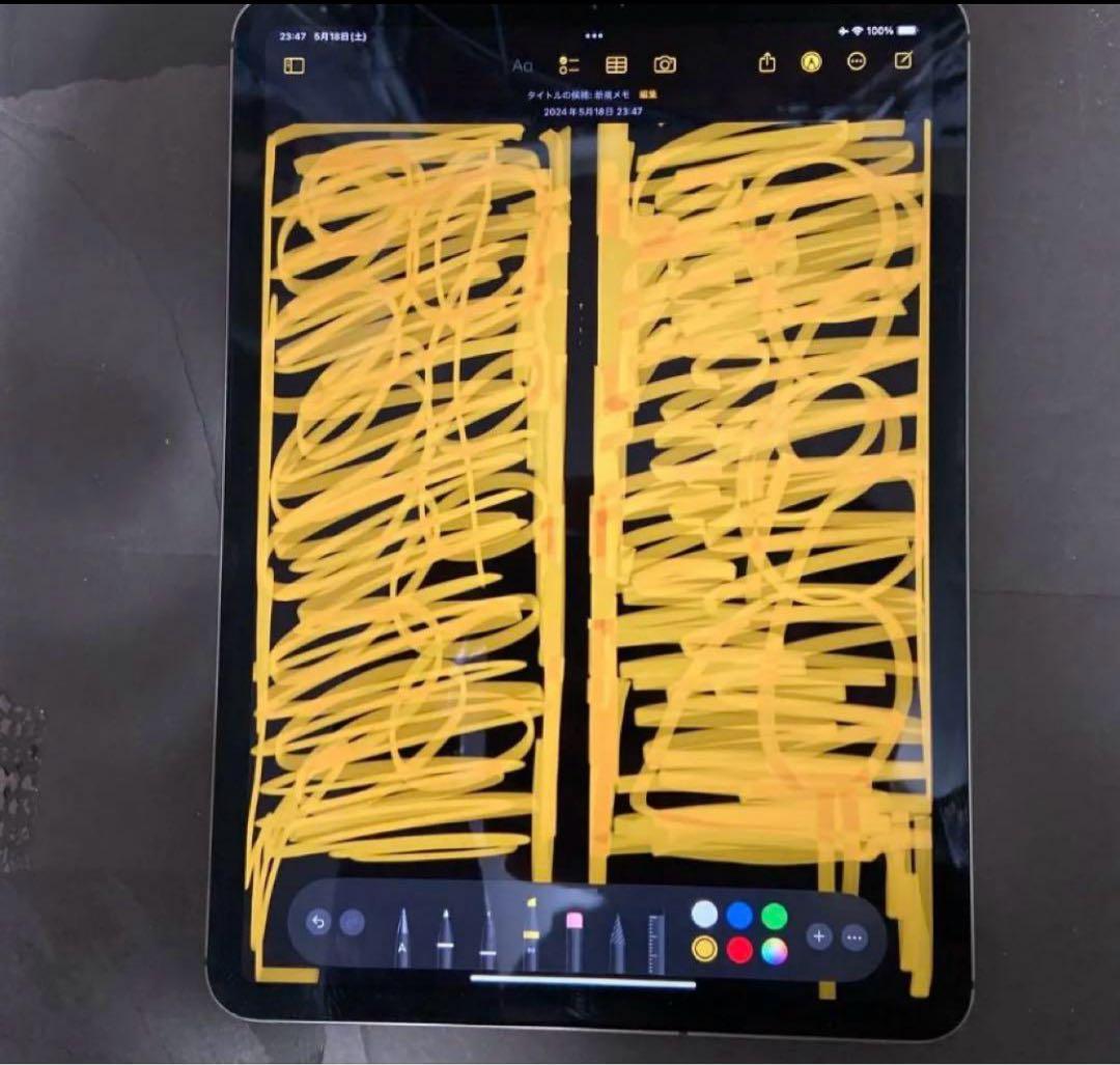 iPad本体 iPad Pro 11 2018 256gb wifi+cellular