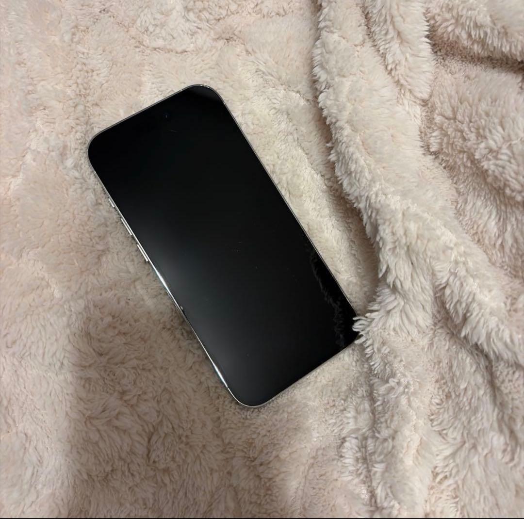 1/21日削除 美品 Apple iPhone 14Pro シルバーSIMフリー