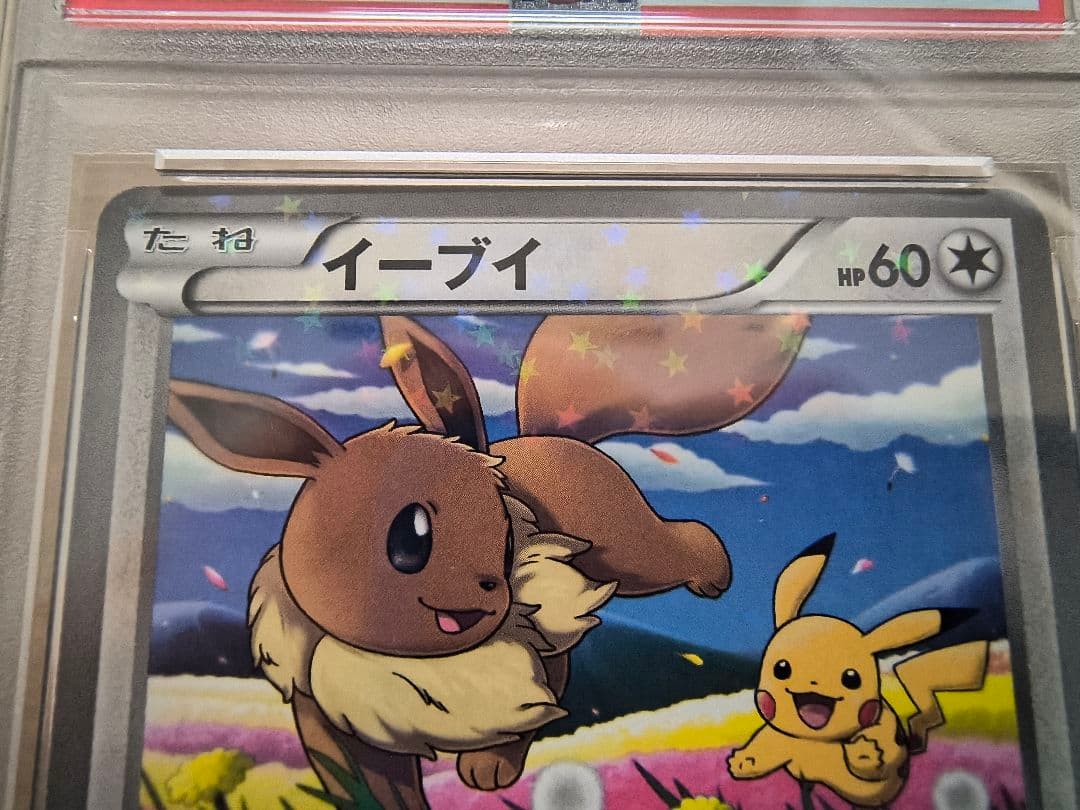 【PSA5/6/7】イーブイ PROMO プロモ 235/BW-P　3枚セット