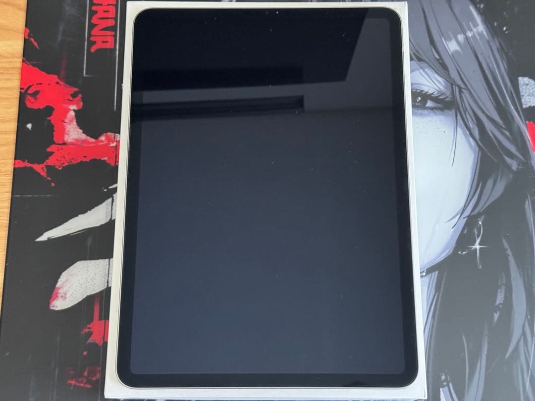 iPad Pro 11インチ 第4世代 256GB MNXF3J/A