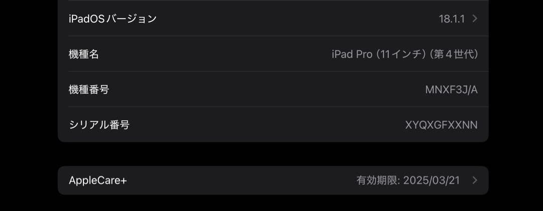 iPad Pro 11インチ 第4世代 256GB MNXF3J/A
