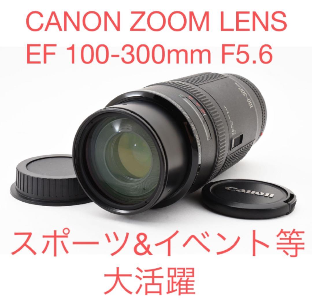 迫力300㎜☆CANON ZOOM LENS EF 100-300mm F5.6