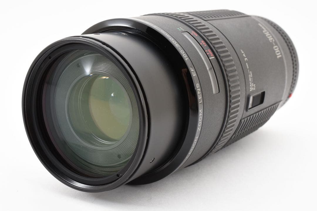 迫力300㎜☆CANON ZOOM LENS EF 100-300mm F5.6
