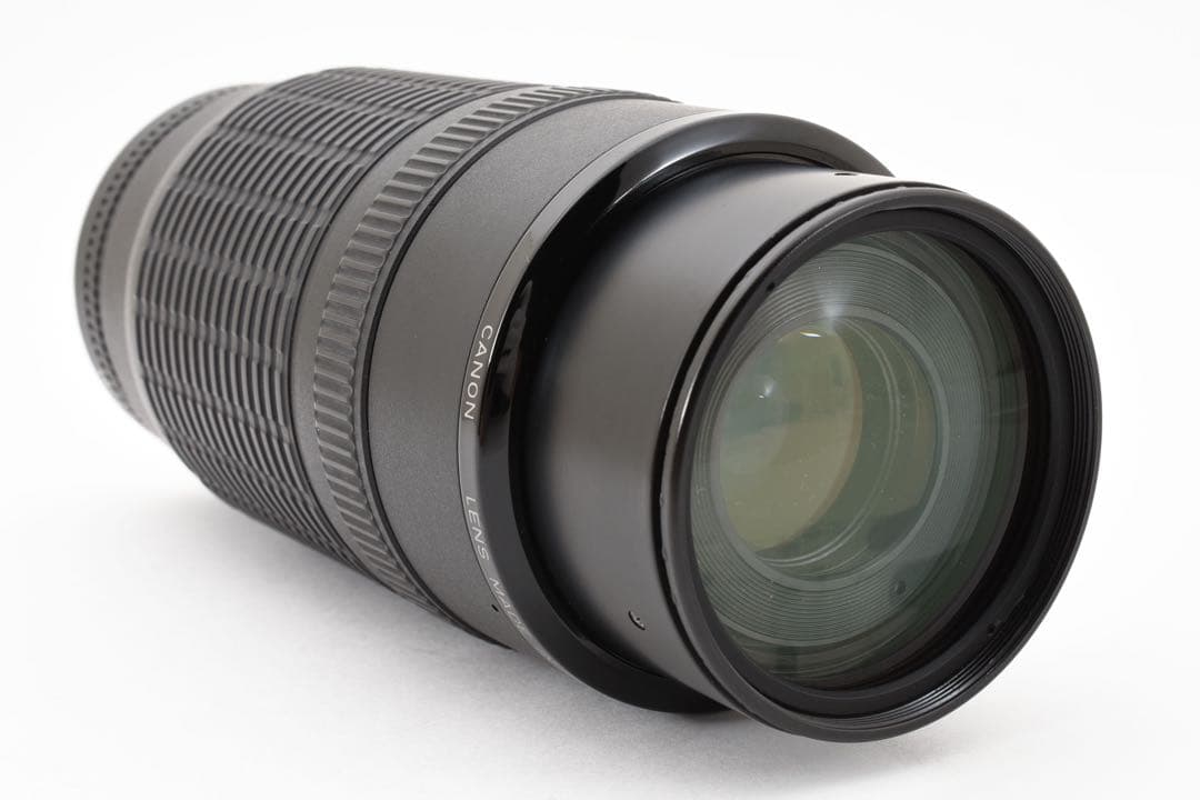 迫力300㎜☆CANON ZOOM LENS EF 100-300mm F5.6