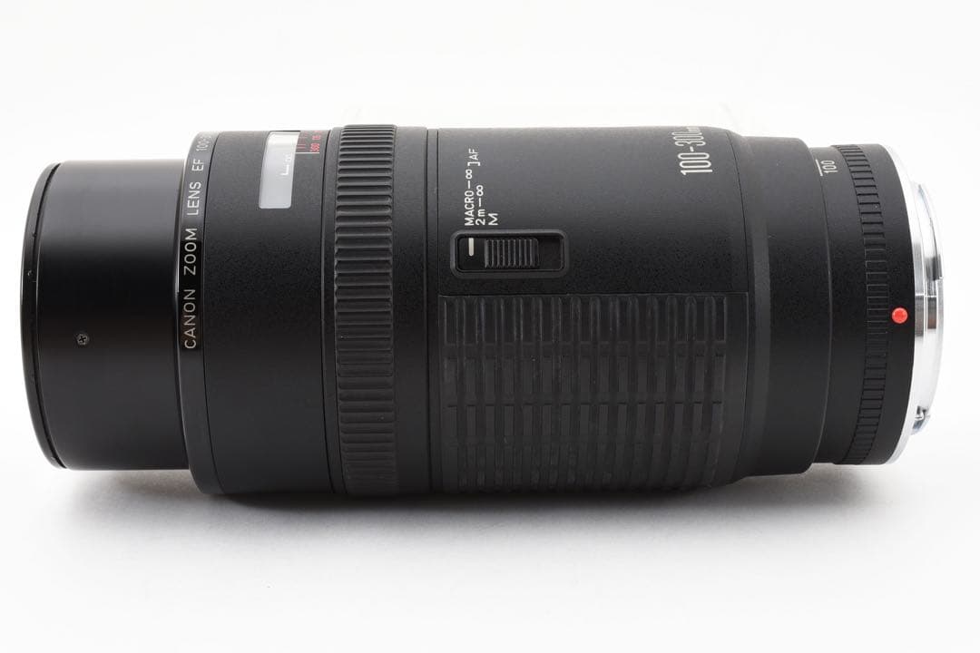 迫力300㎜☆CANON ZOOM LENS EF 100-300mm F5.6