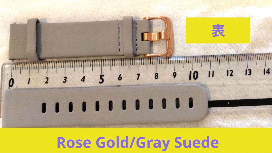 ガーミン VIVOMOVE STYLE