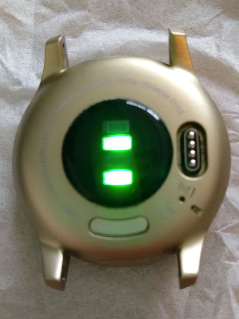 ガーミン VIVOMOVE STYLE