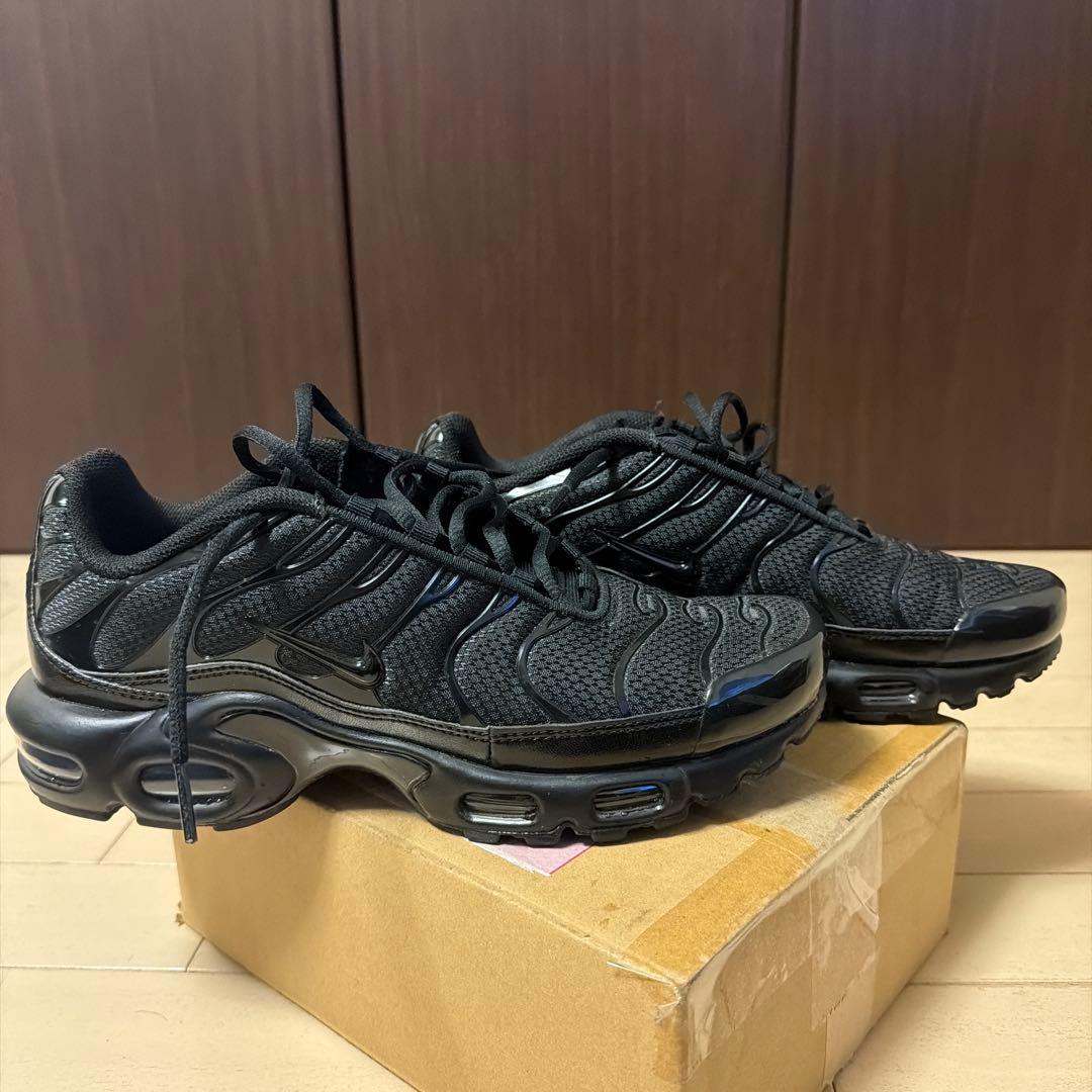 靴 Nike Air Max Plus \
