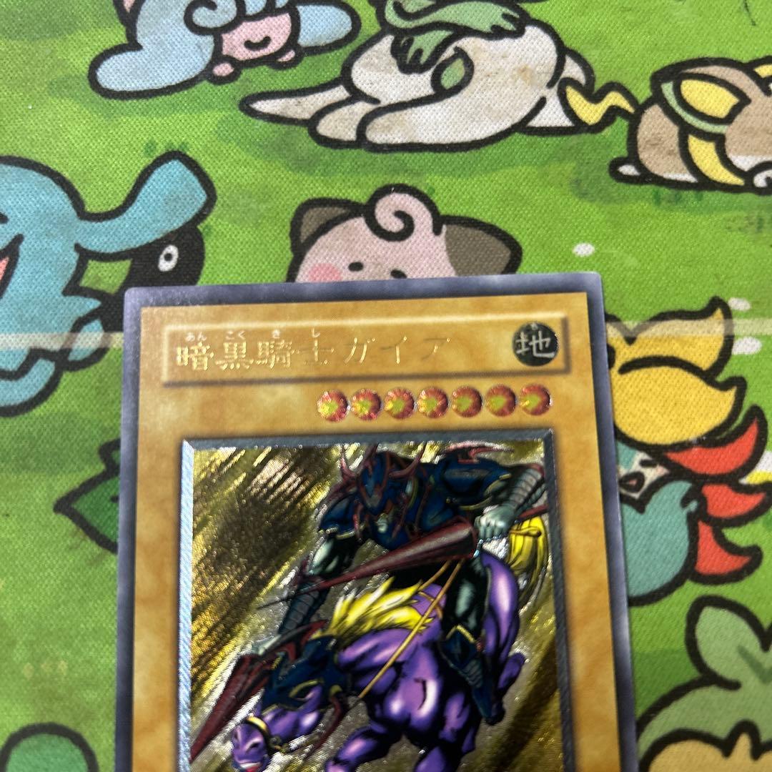 最安値出品　ガードナーはおまけ