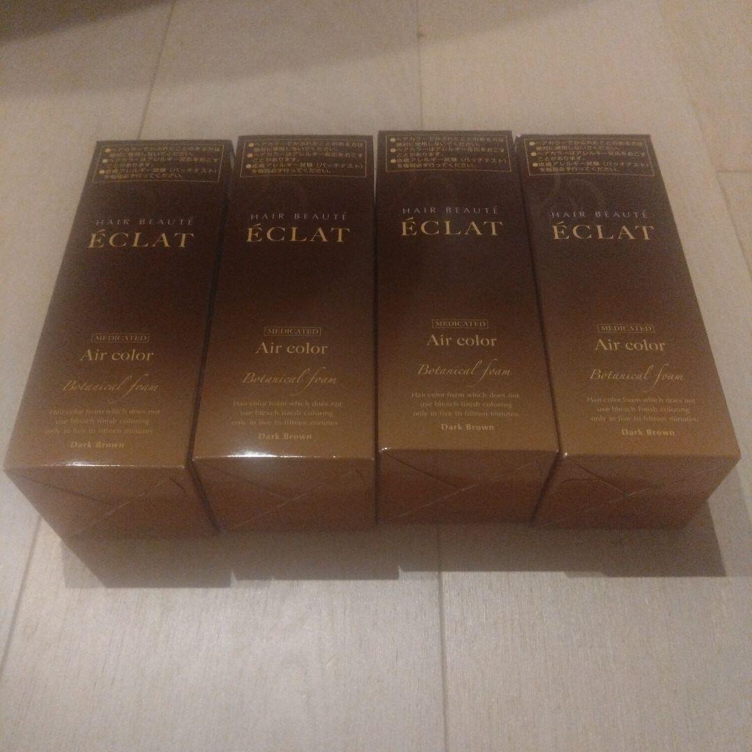 ヘアボーテ エクラ ボタニカルエアカラー ダークブラウン 80g 4本セット