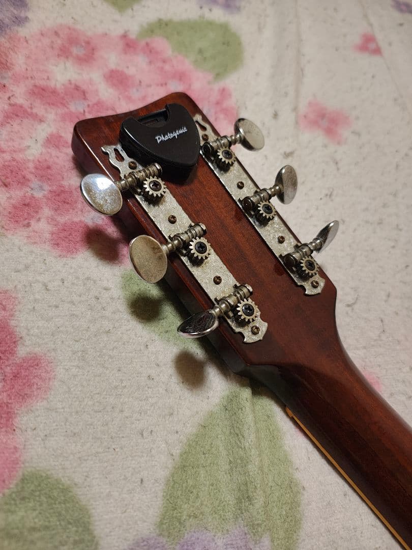 JAPANビンテージCalabash/ハードケース