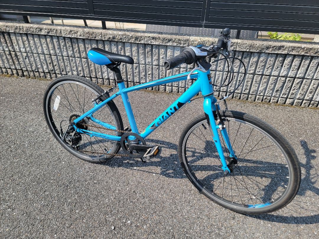 GIANT ESCAPE JR ジュニア用クロスバイク 24インチ