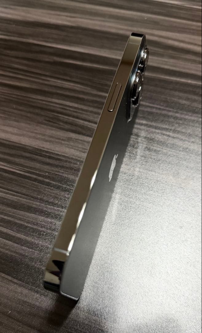 【美品】iPhone13 pro 256GB グラファイト