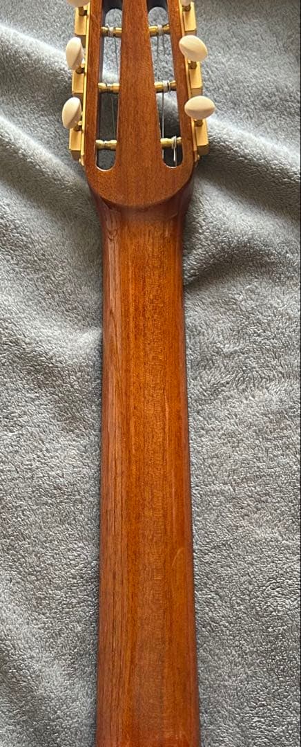 ギター GITANE D-500